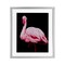 Stupell Industries Contrasting Flamingo on Black Framed Print Under Glass, design by James Corwin
